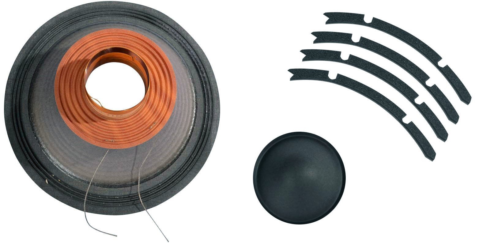 REMPLAZO EIGHTEEN SOUND   8R-KIT12W700