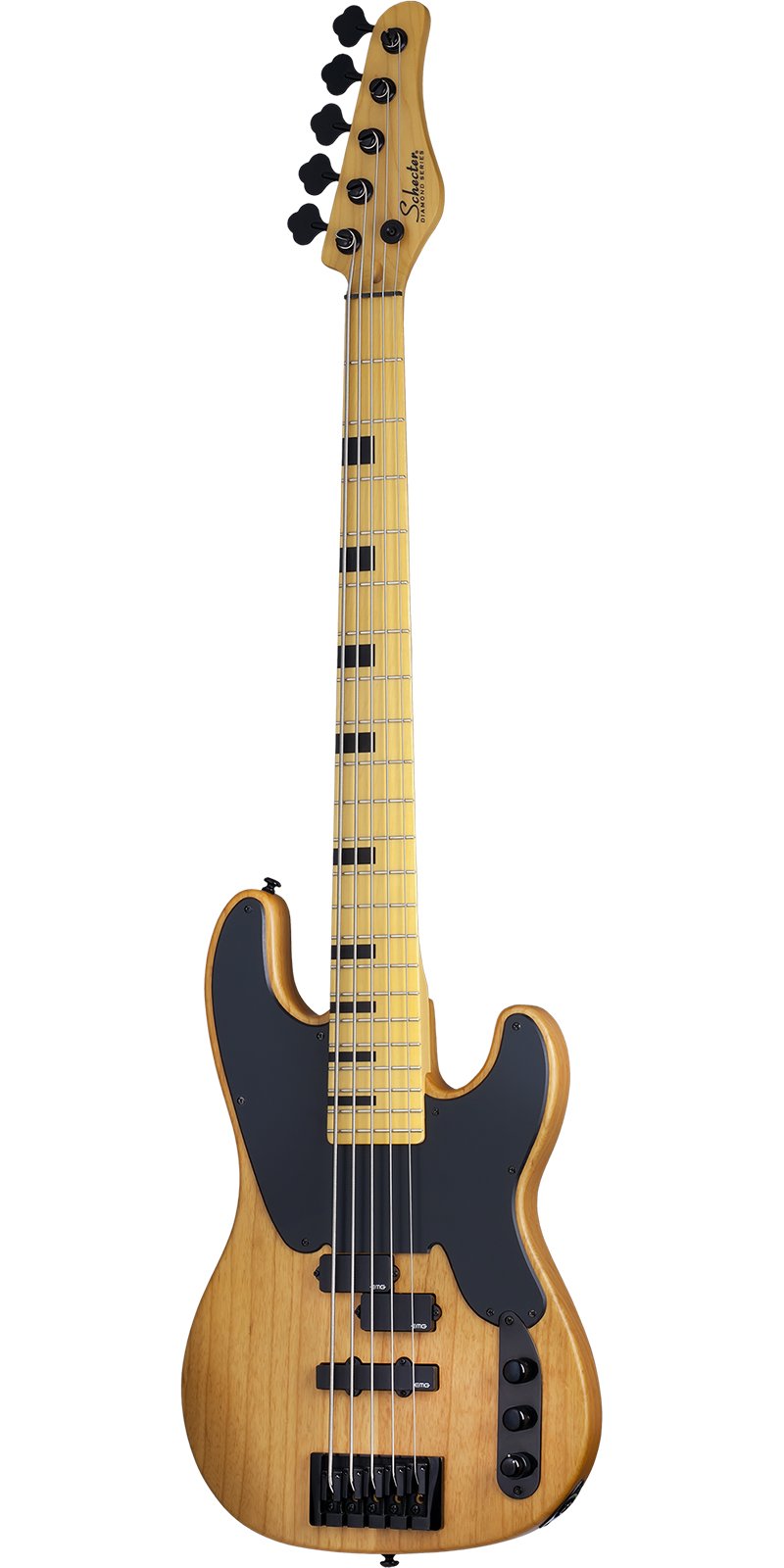 BAJO SCHECTER ELECT. MODEL-T SESSION 5