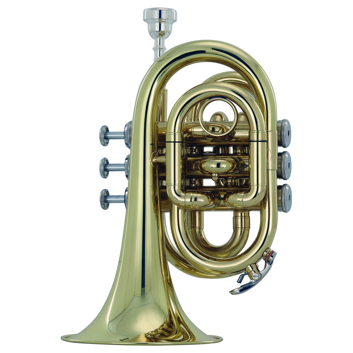 TROMPETA WESNER C/ESTUCHE MOD. PTP2000-L