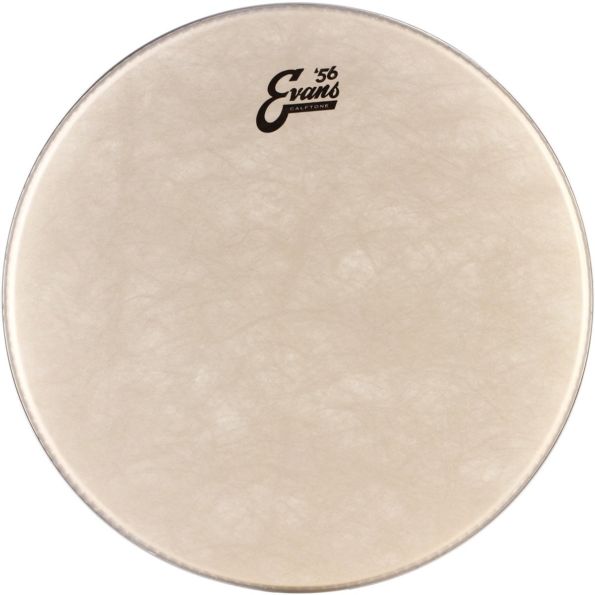 PARCHE EVANS 12      MOD. TT12C7