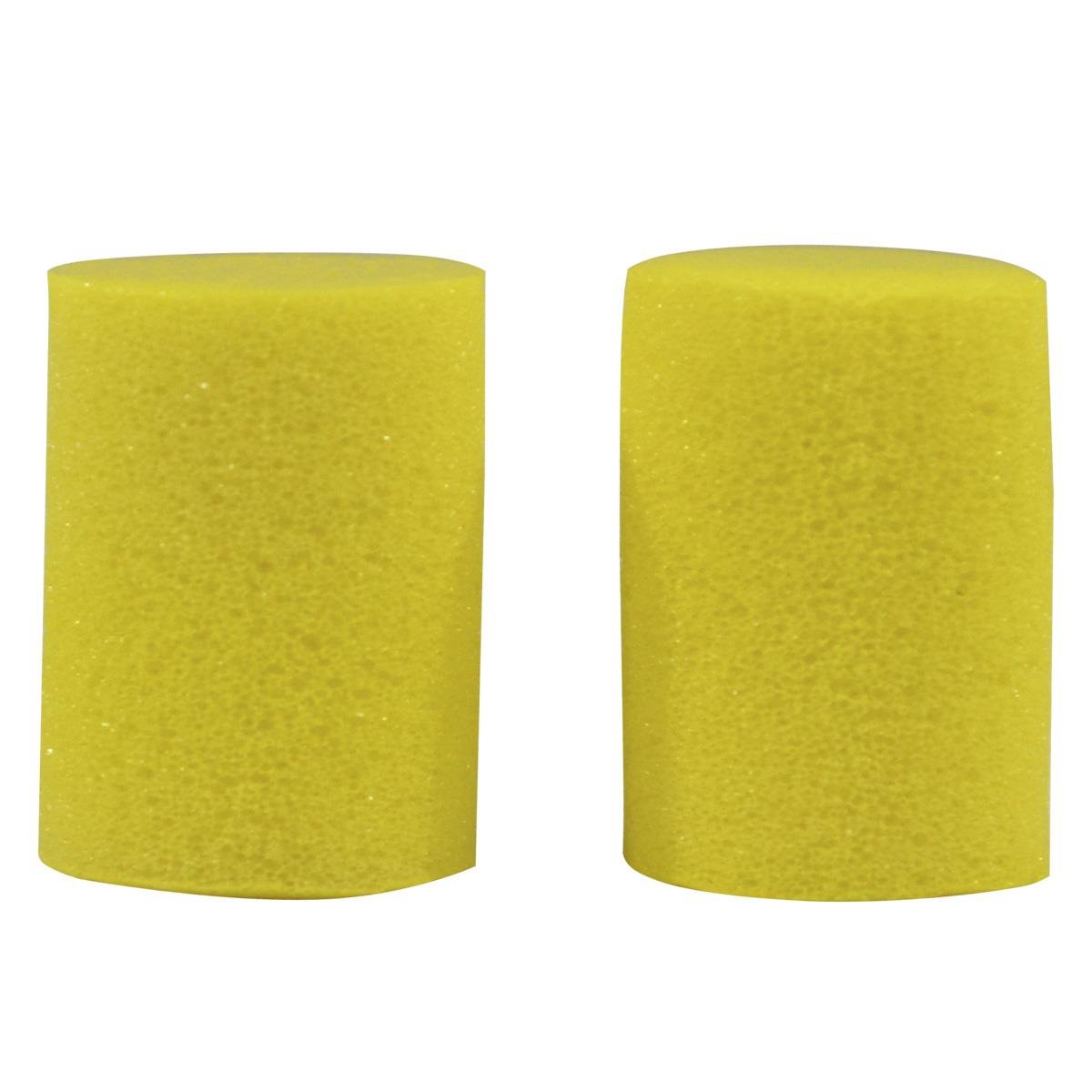 PROTECTOR PLANET WAVE     PWEP1