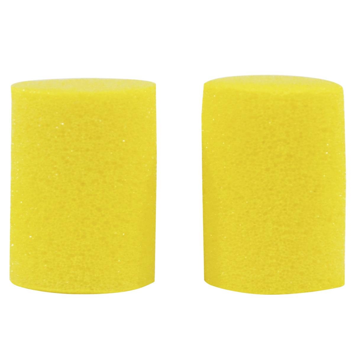 PROTECTOR PLANET WAVE     PWEP100